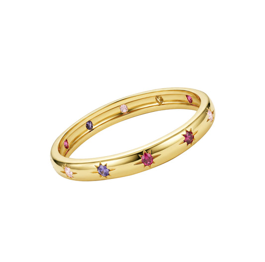 Vienne Ring